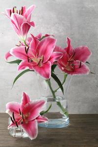 lillies MJflowers flowers